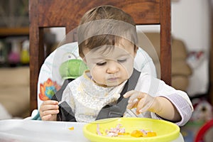 Baby eating from a plate