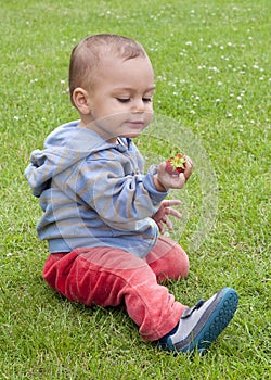 Baby eating strawberry