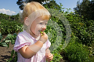 Baby eats peas 4873