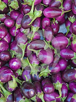 Baby eggplants