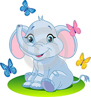 Baby elephant photo