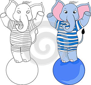 baby elephant coloring book