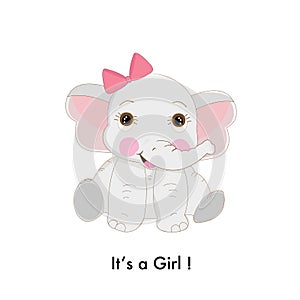 Baby elephant.It`s a girl. Baby shower, birthday greeting card