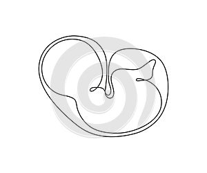Baby embryo in womb, one art line continuous drawing. Silhouette cute unborn fetus child on mother womb in minimalism