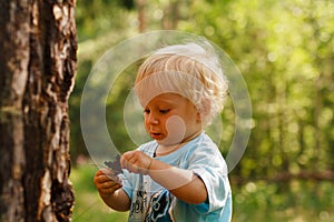 Baby exporing forest photo