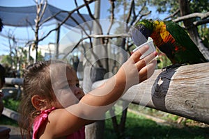 baby feeding bird