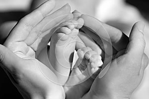 Baby feet cupped into mothers hands