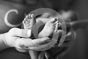 Baby feet cupped into mothers hands