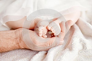 Baby feet in father hands. Tiny newborn baby`s feet on male hand