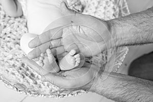 Baby feet in father hands. Tiny Newborn Baby`s feet on male hands closeup. Dad and his child. Happy Family concept. Beautiful