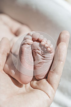 Baby feet. The father holds with tenderness and love in his hands the small legs of a newborn. New life, parental