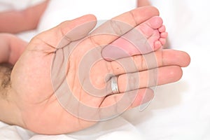 Baby feet in father's hands. Tiny newborn baby feet closeup.