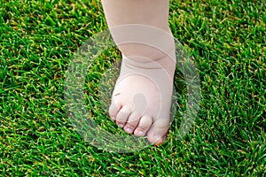 Baby feet on the green grass. Feet of little kid staying on green grass outdoors. Kids bare legs standing on grass