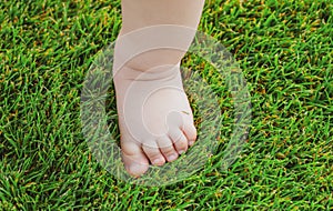 Baby feet on the green grass. Feet of little kid staying on green grass outdoors. Kids bare legs standing on grass