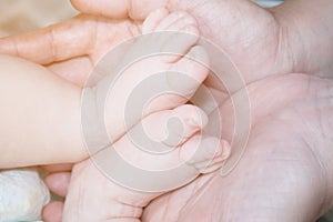 Baby feet in the hands of mom or grandmother. Close up. Toning,