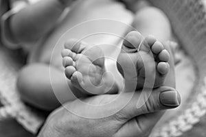 Baby feet in the hands of mother, father, older brother or sister, family.