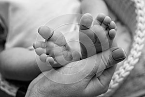 Baby feet in the hands of mother, father, older brother or sister, family. Feet of a tiny newborn close up.