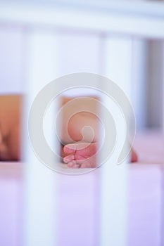 Baby feet. Happy Family concept. Beautiful conceptual image of Maternity