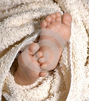 Baby feet II