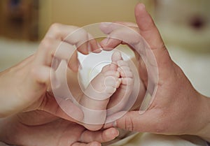 Baby feet in mom and dad palms. Newborn baby feet in mother hands, shape like a lovely heart. Happy family concept.