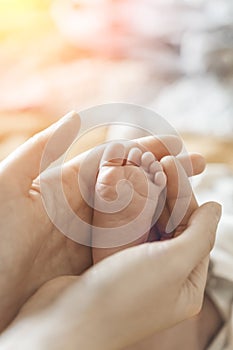 Baby feet. Mom holds with tenderness and love in his hands the small legs of a newborn. New life, parental protection