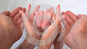 Baby feet in mother and dads hands. Tiny Newborn Baby.