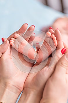 Baby feet in mother hands