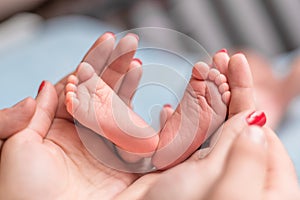 Baby feet in mother hands