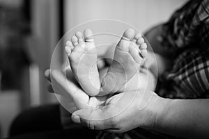 Baby feet in mother hands. Black-and-white photo. Baby`s feet in black and white