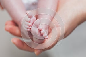 Baby feet in mother hands. Closeup of newborn baby feet. Happy Family oncept