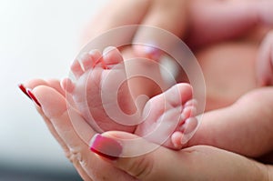 Baby feet in the mother hands. Family love concept. Newborn beauty.