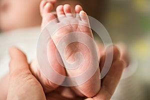 Baby feet in mother hands. Mom and her Child. Happy Family concept. Beautiful conceptual image of Maternity