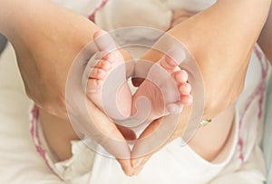 Baby feet in mother hands - hearth shape