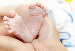 Baby Feet in Mother Hands. New Born Kid Foot