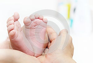 Baby Feet in Mother Hands. New Born Kid Foot