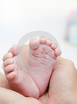 Baby Feet in Mother Hands. New Born Kid Foot