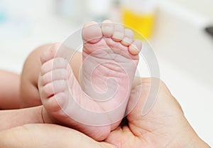 Baby Feet in Mother Hands. New Born Kid Foot