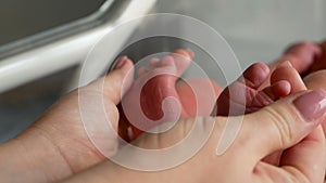 Baby feet in mother hands. Tiny Newborn Baby`s feet on female Heart Shaped hands closeup. Mom and her Child at maternity