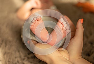 Baby feet in mother hands. Tiny Newborn Baby`s feet on female Shaped hands closeup.