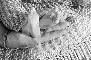 Baby feet in mother hands. Tiny newborn baby`s feet on female shaped hands closeup. Mom and her child. Beautiful conceptual image