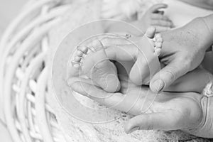 Baby feet in mother hands. Tiny Newborn Baby`s feet on female Shaped hands closeup. Mom and her Child. Happy Family concept.