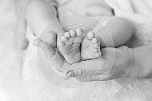 Baby feet in mother hands. Tiny Newborn Baby`s feet on female Shaped hands closeup. Mom and her Child. Happy Family concept.