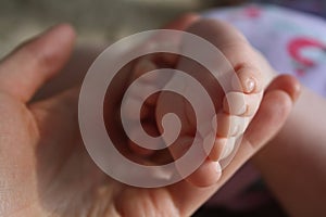 Baby feet in the mother`s hand