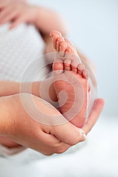 Baby feet in mother`s hands