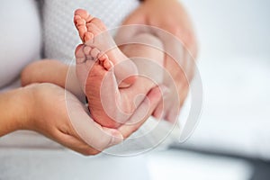 Baby feet in mother`s hands