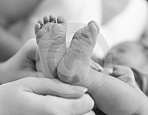Baby feet in mothers hand