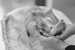 Baby feet in the palms. Mother's hands hold the legs of a newborn baby., black and white photo