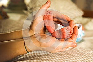 Baby feet in parent hands