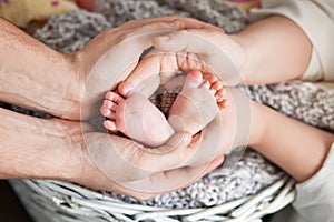 Baby feet in parents hands. Tiny Newborn Baby's feet on parents
