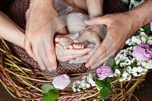 Baby feet in parents hands. Tiny Newborn Baby's feet on parents shaped hands closeup.